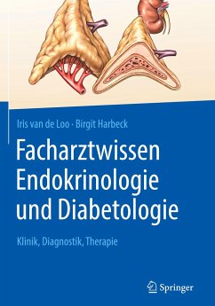 Facharztwissen Endokrinologie und Diabetologie - van de Loo, Iris; Harbeck, Birgit