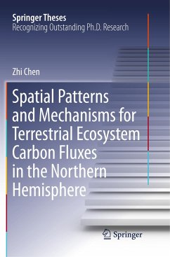 Spatial Patterns and Mechanisms for Terrestrial Ecosystem Carbon Fluxes in the Northern Hemisphere - Chen, Zhi