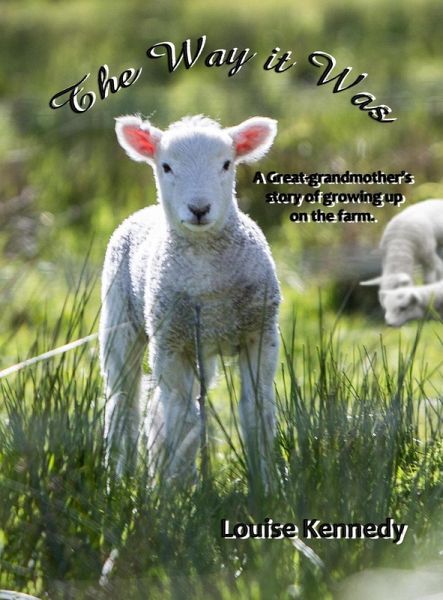 The Way it Was (eBook, ePUB) The Way it Was (eBook, ePUB)