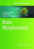 Brain Morphometry