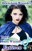 Bewitching Wizardry - Part 1 - Busty Wizards (eBook, ePUB)