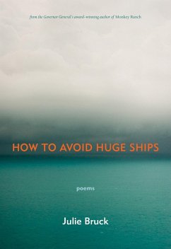 How to Avoid Huge Ships (eBook, ePUB) - Bruck, Julie
