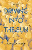 Driving into the Sun (eBook, PDF)