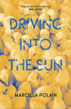 Driving into the Sun (eBook, PDF) - Polain, Marcella