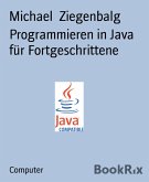 Programmieren in Java für Fortgeschrittene (eBook, ePUB)