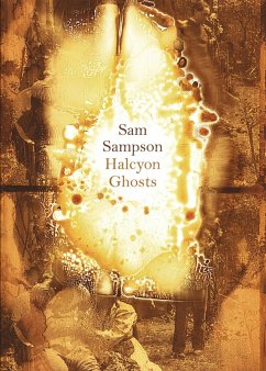Cover Halcyon Ghosts (eBook, PDF)