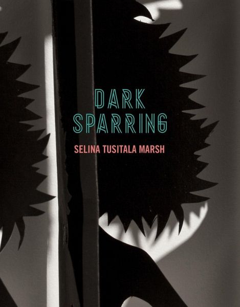 Dark Sparring (eBook, PDF)