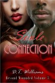Soule Connection: Beyond Wounded Volume 3 (eBook, ePUB) Soule Connection: Beyond Wounded Volume 3 (eBook, ePUB)