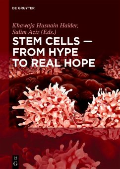 Stem Cells - From Hype to Real Hope (eBook, PDF)