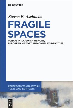 Fragile Spaces (eBook, ePUB) - Aschheim, Steven E.