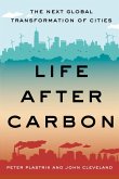 Life After Carbon (eBook, ePUB)