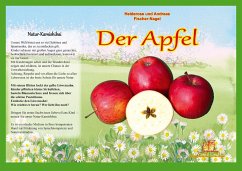 Naturkamishibai - Der Apfel - Fischer-Nagel, Heiderose;Fischer-Nagel, Andreas