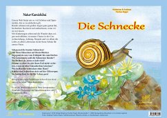 Die Schnecke - Natur-Kamishibai - Fischer-Nagel, Heiderose;Fischer-Nagel, Andreas