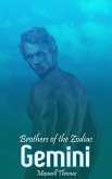 Brothers of the Zodiac: Gemini (eBook, ePUB) Brothers of the Zodiac: Gemini (eBook, ePUB)