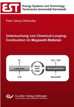 Untersuchung von Chemical-Looping-Combustion im Megawatt-Maßstab - Ohlemüller, Peter Georg