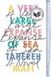 A Very Large Expanse of Sea - Bild 1