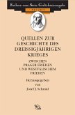 Quellen zur Geschichte des Dreißigjährigen Krieges (eBook, PDF)