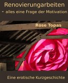 Renovierungsarbeiten - alles eine Frage der Motivation (eBook, ePUB)