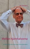 Mellan hjärnhalvorna (eBook, ePUB)