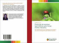 Produção de enzimas ligninolíticas pelo fungo Fomes Fasciatus