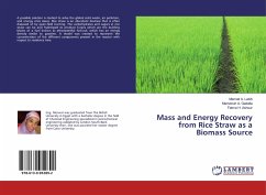 Mass and Energy Recovery from Rice Straw as a Biomass Source