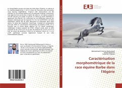 Caractérisation morphomètrique de la race équine Barbe dans l'Algérie - Benhamadi, Mohammed El Amine;Mezouar, Kamel;Gaouar, Suheil B.S