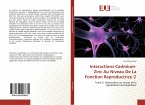 Interactions Cadmium-Zinc Au Niveau De La Fonction Reproductrice ¿