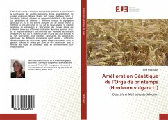 Amélioration Génétique de l¿Orge de printemps (Hordeum vulgare L.) - Medimagh, Sana