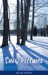 Snow Pictures (eBook, ePUB) - Bild 1