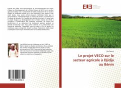 Le projet VECO sur le secteur agricole à Djidja au Bénin - Douna, Léa