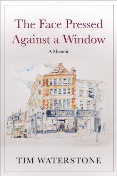 The Face Pressed Against a Window (eBook, ePUB) - Waterstone, Tim