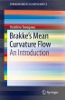 Brakke's Mean Curvature Flow - Bild 1