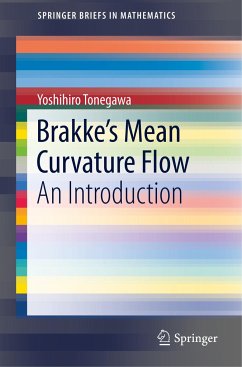 Brakke's Mean Curvature Flow - Tonegawa, Yoshihiro