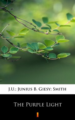 The Purple Light (eBook, ePUB) - Giesy, J.U.; Smith, Junius B