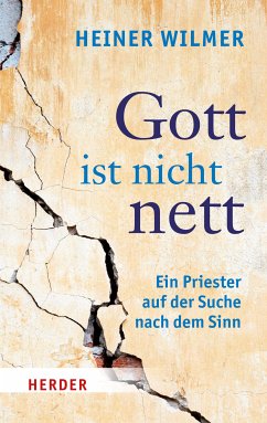 Gott ist nicht nett (eBook, PDF) - Wilmer, Heiner