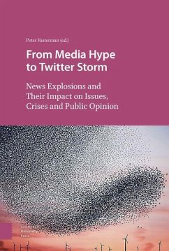 Cover From Media Hype to Twitter Storm (eBook, PDF)