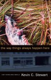THE WAY THINGS ALWAYS HAPPEN HERE (eBook, PDF) THE WAY THINGS ALWAYS HAPPEN HERE (eBook, PDF)