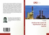 Analyse des cycles de liquéfaction du gaz naturel