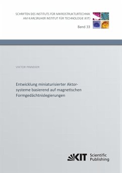 Entwicklung miniaturisierter Aktorsysteme basierend auf magnetischen Formgedächtnislegierungen - Pinneker, Viktor