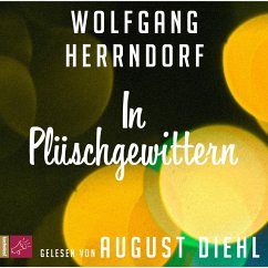 In Plüschgewittern (MP3-Download) - Herrndorf, Wolfgang