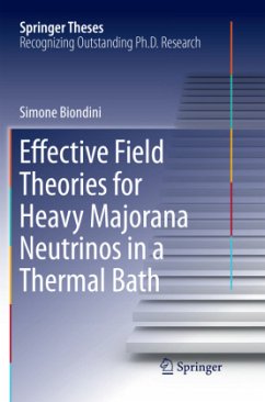 Effective Field Theories for Heavy Majorana Neutrinos in a Thermal Bath - Biondini, Simone