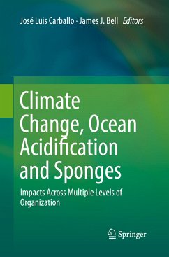 Climate Change, Ocean Acidification and Sponges