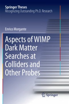 Aspects of WIMP Dark Matter Searches at Colliders and Other Probes - Morgante, Enrico