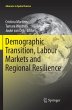 Demographic Transition, Labour Markets... - Bild 1