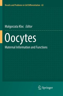 Oocytes