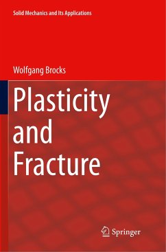 Plasticity and Fracture - Brocks, Wolfgang