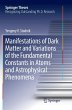 Manifestations of Dark Matter and... - Bild 1