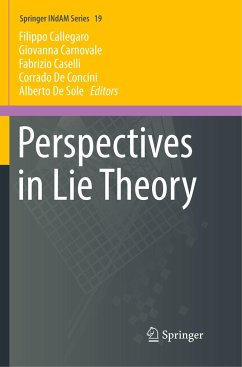 Perspectives in Lie Theory