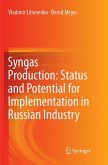 Syngas Production: Status and Potential for Implementation in Russian Industry