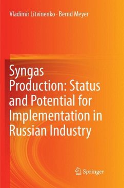 Syngas Production: Status and Potential for Implementation in Russian Industry - Litvinenko, Vladimir;Meyer, Bernd